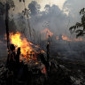 Taming fire let humans thrive. Now man-made flames in the Amazon threaten us all.