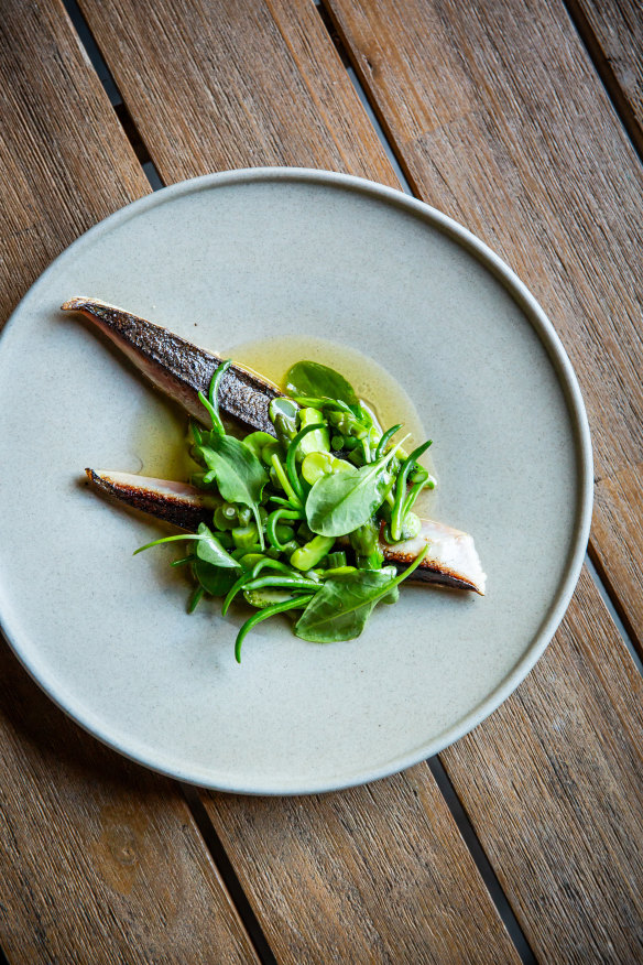 Ulladulla blue mackerel with karkalla.