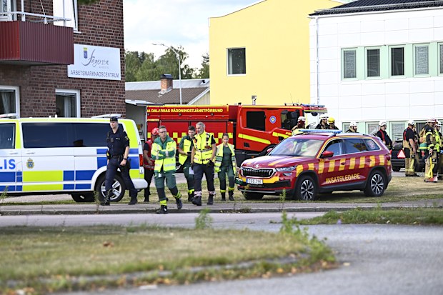 Fagersta: Swedish police probe online networks after teenage girl ...