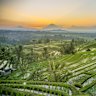 A different view … rice terraces in Tabanan.