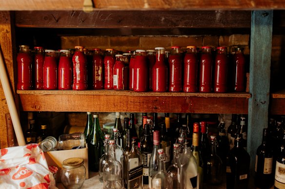 A stockpile of homemade tomato sugo.