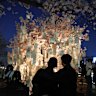 People walk beneath cherry blossoms at the Yeouido’s Yunjung-ro district in Seoul, South Korea.