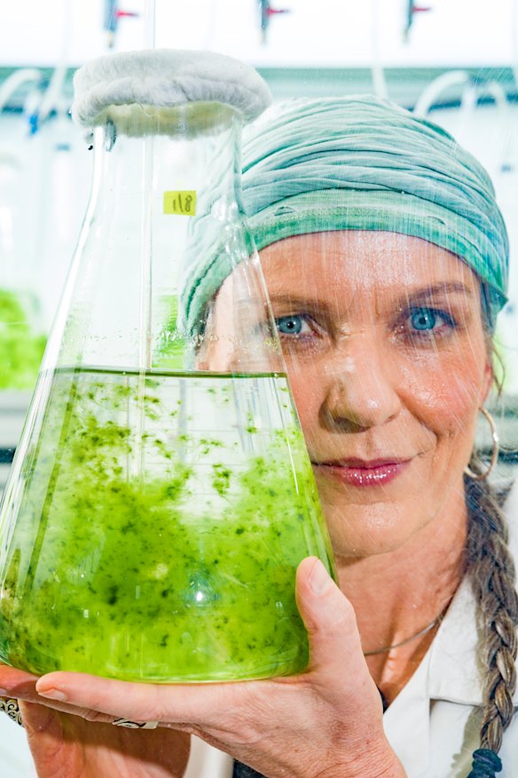 Dr Pia Winberg at her lab in Ulladulla, NSW.