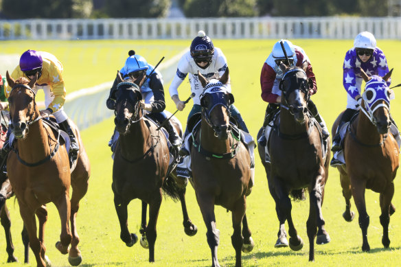 Nine races are scheduled at Wellington on Monday.