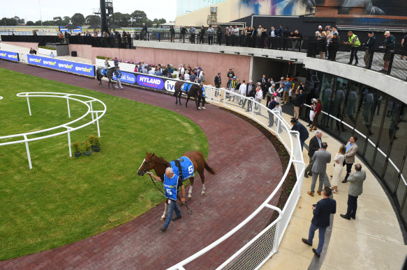 The Melbourne Racing Club does not use their new mounting garden before races.