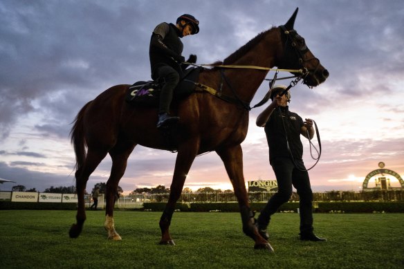 James McDonald and Nature Strip stretch the legs at Rosehill on Thursday morning.