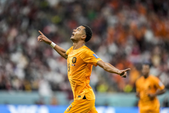 Cody Gakpo after scoring for the Netherlands.