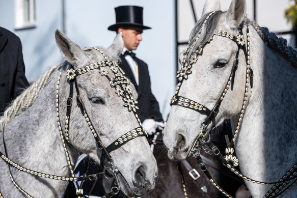 Decorated horses before the annual Sorbian Easter rider processions in Wittichenau, Germany. Sorbians are a Slavic minority in eastern Germany with a rich cultural and linguistic tradition.  This year’s processions are more limited in scope than usual and with virtually no spectators due to the pandemic.