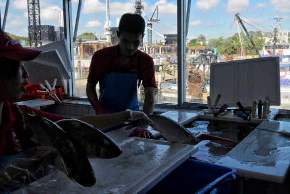 Retailers at the Sydney Fish Market continue to trade as the development of their new premises rises in the distance.