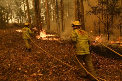 Firefighters tackle the Currowan fire at Tomerong in January 2020.
