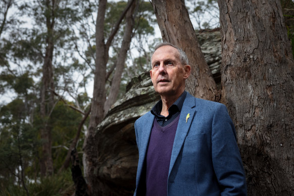 Greens founder Bob Brown will attend the event… as a 3D animation.