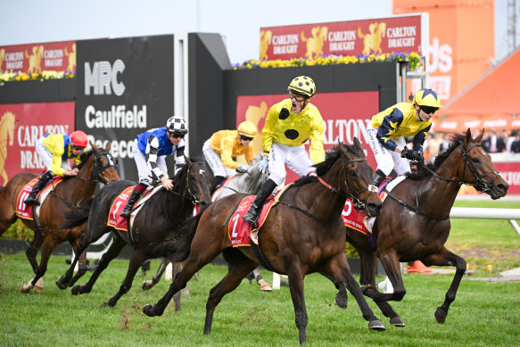 Gold trip, number 1, placed third behind winning horse Without A Fight in the Caulfield Cup.