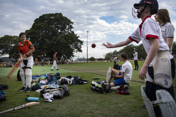 After a rushed return to community sport, cricket clubs across NSW are back on the paddock as of Saturday. 