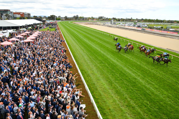 Josh Parr riding Renaissance Woman in front of a big Caulfield Cup crowd on the lawns.