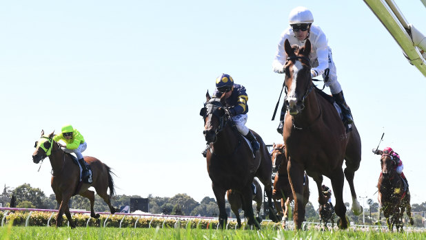 All white: Mark Zahra rides Kings Will Dream to victory in the Club Stand Handicap.