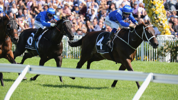 Class prevails: Winx takes the George Ryder Stakes with a final dash that wasn't matched all day.