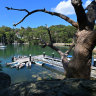 Boats moored at the Tunks Park ramp in Cammeray.