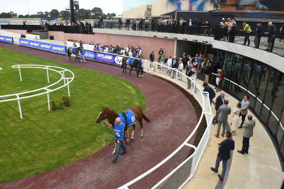 Caufield’s new-look mounting yard was unveiled in February.