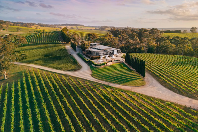 Too many grapes, not enough drinking lead to glut of wineries for sale