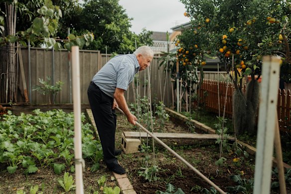 Nicoliello tends to his kitchen garden.