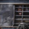 World of photos, July 28, 2024