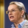 Deputy Liberal leader Sussan Ley.