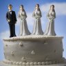 Polygamy argument shouldn't be dismissed - and I speak from experience