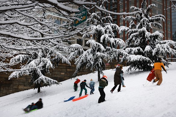 Children and adults sled in the snow in Brooklyn.