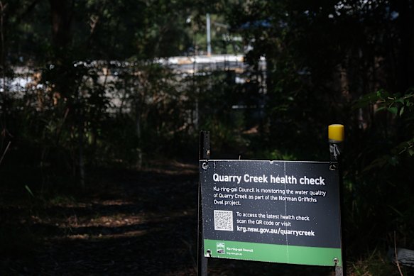 The council said costs for natural turf would be the same as synthetic, as both scenarios require building an underground stormwater detention tank.