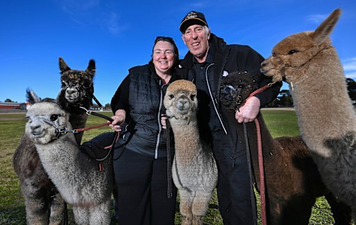 Fine time: Janelle and Birron jago, from Tasmania, Alzing HIS stock between Skills to Bovenigo.
