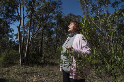 Sue Gay, a local resident and wildlife campaigner, said she was "very pleased" about plans to create a koala reserve that will eventually become a national park.