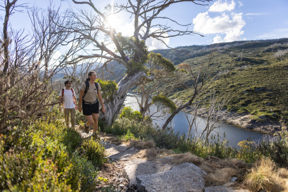 There was a 60 per cent increase in visitors to NSW national parks during the pandemic.