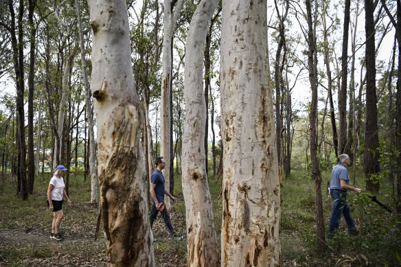 Residents fear hundreds of trees will be bulldozed in Fred Caterson Reserve in Castle Hill to upgrade sports facilities and build new rugby fields.