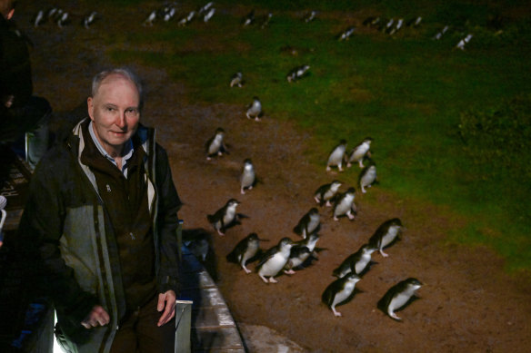 Peter Dann at the penguin parade during the week. 