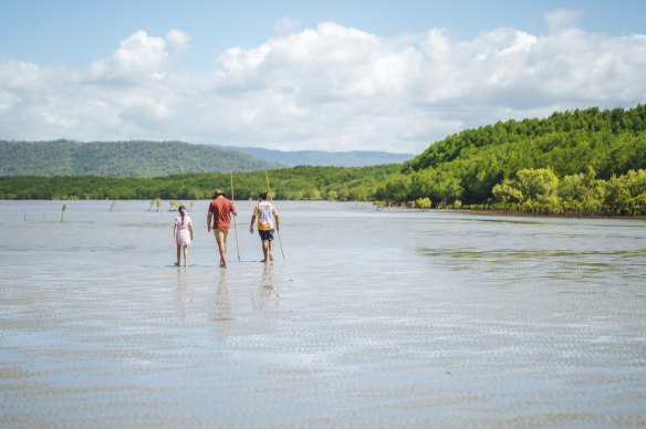 An Aboriginal cultural tour in the Daintree.