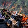 Plastic is being burnt for fuel and food cooking across the developing world.