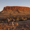 Visitors near Mount Conner on Curtin Springs Station.