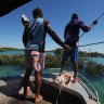 Mangroves in need of more research to protect a key part of Kimberley culture