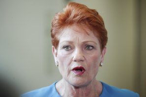 One Nation's Pauline Hanson says mothers are making up domestic violence claims to stop fathers getting access to their children. 