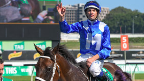 The  best: Hugh Bowman gives the "she's apples" after wining the Chipping Norton Stakes on Winx last year.