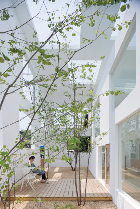 Fujimoto's House N is conventional in concept.