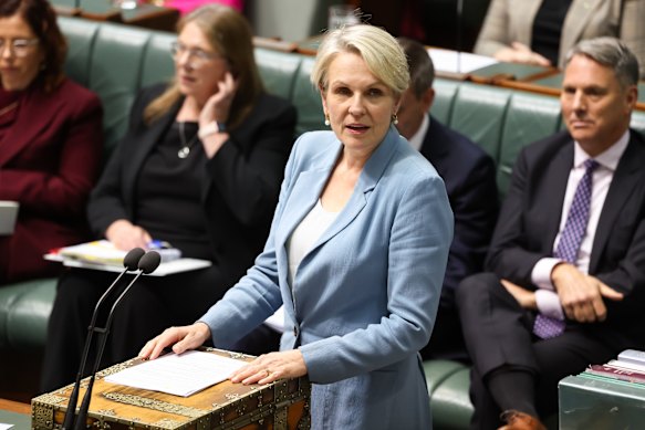 Minister for Social Services Tanya Plibersek during question time at Parliament House in Canberra.