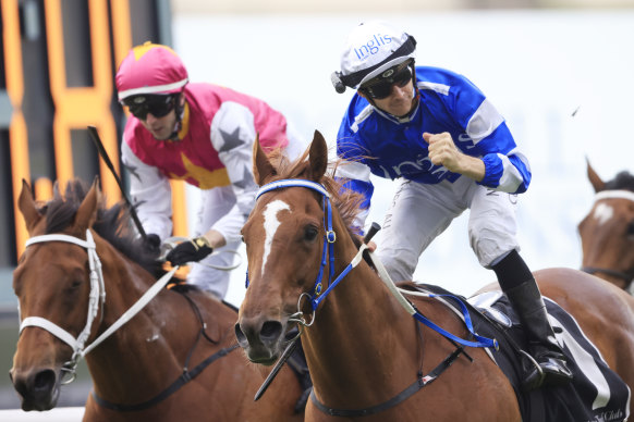 Jason Collett punches the air after Gytrash wins last year’s Yes Yes Yes Stakes.