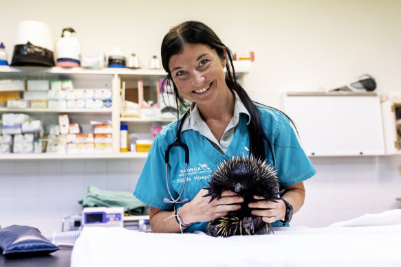 Elizabeth McConnell, senior veterinary nurse at Taronga Wildlife Hospital. 