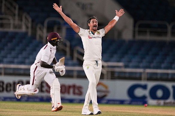 Mitchell Starc bowled a hostile first spell. 
