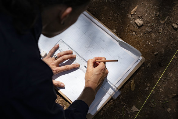 Dr Amy Mosig Way, an archaeologist at the Australian Museum, documents her finds.