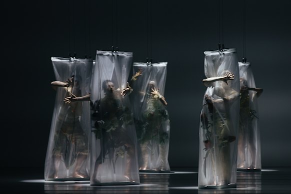 Soon the emphasis shifts to colonisation and its effect on the flora of the continent.