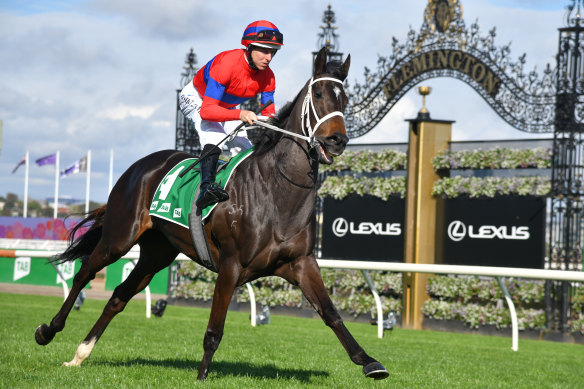 Verry Elleegant heads to the gates before her uncharacteristic Turnbull Stakes failure earlier this month.