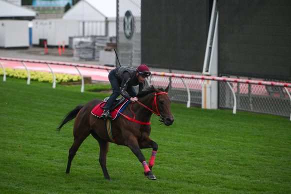 Romantic Warrior had a look around Moonee Valley on Sunday.