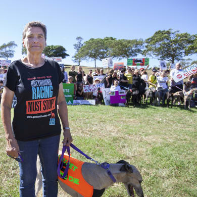 Lorraine Ramsay with rescue greyhound Sandy at the Anti-Greyhound Racing Rally at Sydney Park,St Peters on Saturday the 14th of April 2018.
